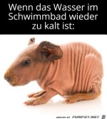Wasser-ist-kalt.jpg auf www.funpot.net