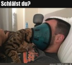 Direkte-Frage.jpg auf www.funpot.net