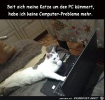 Katze-arbeitet-am-PC.jpg auf www.funpot.net