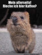 Guten-Morgen.jpg auf www.funpot.net
