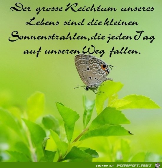 der grosse Reichtum..... der grosse Reichtum.....