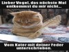 weiter