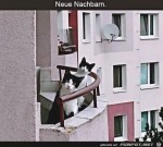 Neue-Nachbarn.jpg auf www.funpot.net