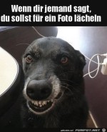 Fr-ein-Foto-lcheln.jpg auf www.funpot.net