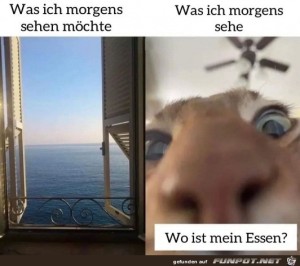 fun-Bild: Was ich morgens sehen will
