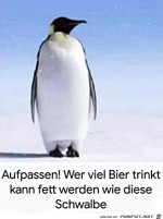 Bier-macht-fett.jpg auf www.funpot.net