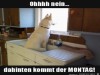 weiter