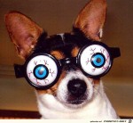 Blue-eyes.jpg auf www.funpot.net