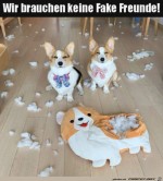 Keine-Fake-Freunde-erwnscht.jpg auf www.funpot.net
