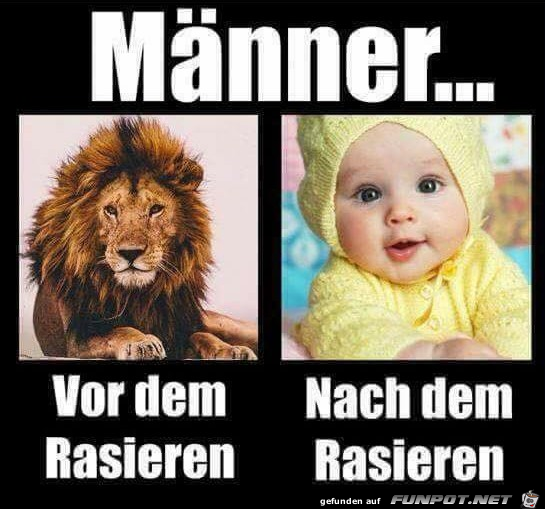 Männer Männer