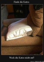 Wo-ist-die-Katze?.jpg auf www.funpot.net