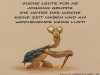 weiter