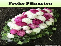 Frohe Pfingsten