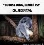 Geniee-jeden-Tag.jpg auf www.funpot.net