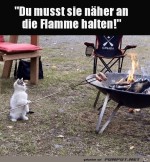 Nher-ans-Feuer.jpg auf www.funpot.net