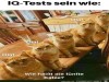 weiter