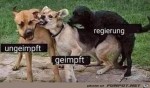 So-ist-das-wirklich.jpg auf www.funpot.net