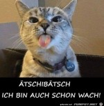 Bin-auch-wach.jpg auf www.funpot.net
