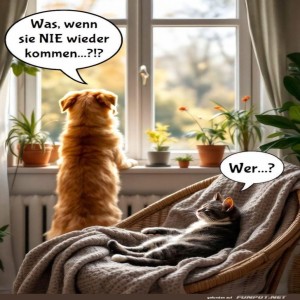 fun-Bild: Wartezeiten für Anfänger: Hund vs. Katze