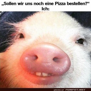fun-Bild: Wie man nie 'Nein' zu Pizza sagt