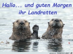 Landratten.jpg auf www.funpot.net