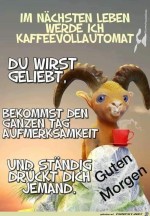 Im-nchsten-Leben.jpg auf www.funpot.net