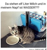 und-ich-habe-Wasser-im-Napf.jpg auf www.funpot.net