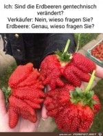Lustige-Erdbeeren.jpg auf www.funpot.net
