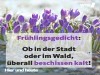 weiter