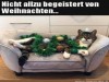 weiter
