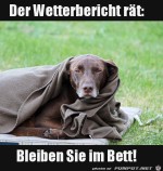 Bleib-im-Bett.jpg auf www.funpot.net