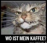 Wo-ist-der-Kaffee?.jpg auf www.funpot.net
