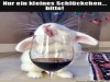 weiter