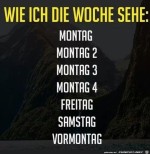 Die-Woche.jpg auf www.funpot.net