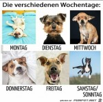 die-verschiedenen-Wochentage.jpg auf www.funpot.net