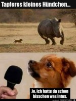 Ich-hatte-bisschen-was-intus.jpg auf www.funpot.net
