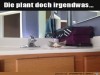 weiter