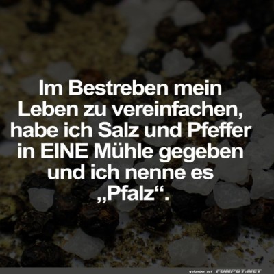 Pfalz-f&uuml;r-Fortgeschrittene:-Die-Ein-M&uuml;hlen-L&ouml;sung.jpg von Ida-1969