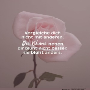 herz-Bild: Rosen haben's auch nicht leicht!