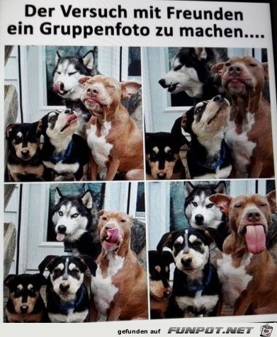 Gruppenbild Gruppenbild