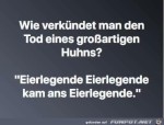 Huhn.jpg auf www.funpot.net