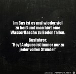 Lustiger-Busfahrer.jpg auf www.funpot.net