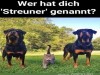 weiter