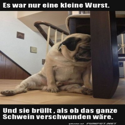 Es-war-nur-eine-kleine-Wurst.jpg von Brandon