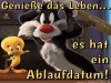 weiter