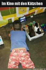Mit-den-Ktzchen-fernsehen.jpg auf www.funpot.net