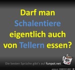 Schalentiere.jpg auf www.funpot.net