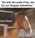 Da-guckt-das-Pferd-dann-doch-sehr-skeptisch.png auf www.funpot.net