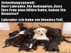 weiter