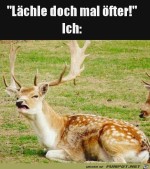 Lchle-doch-mal.jpg auf www.funpot.net